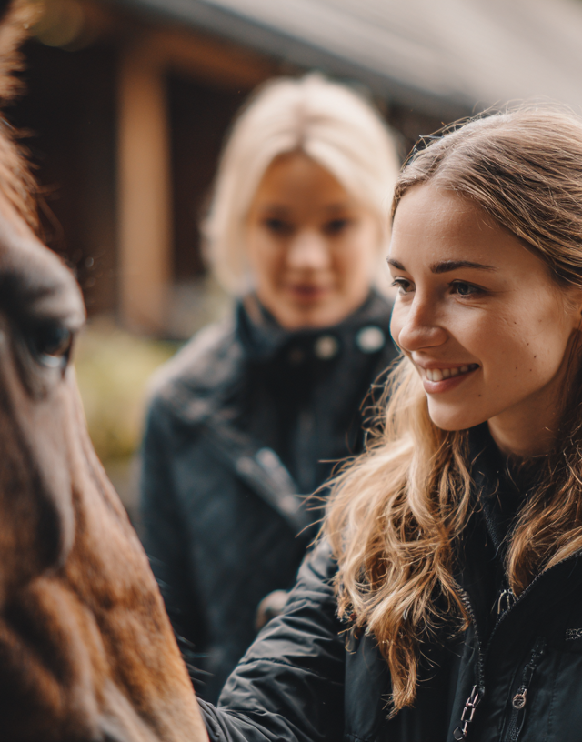 Illustration : Acheter son premier cheval : le guide pour bien débuter
